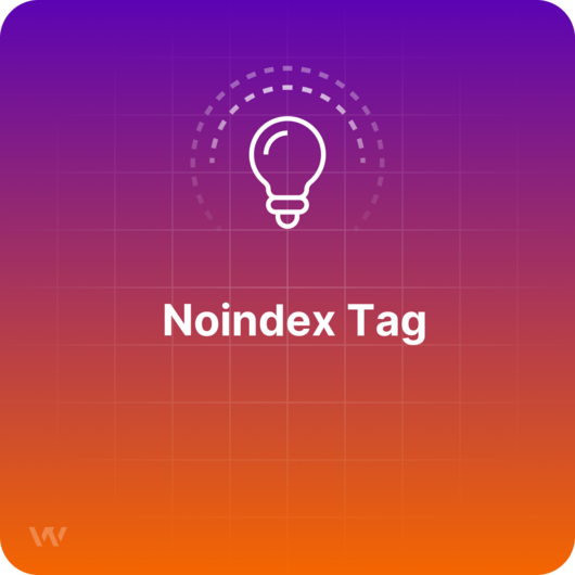 What is a Noindex Tag?