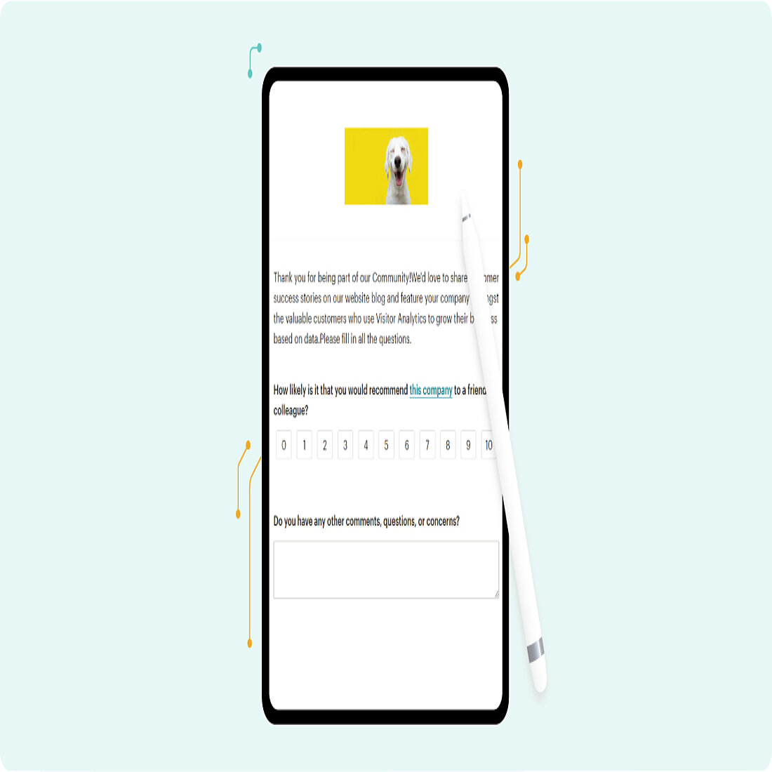Design Surveys And Polls With Mailchimp Design Surveys And Polls With Mailchimp
