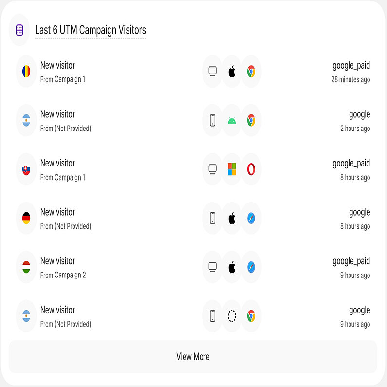 Überblick über die letzten Kampagnenbesucher Überblick über die letzten Kampagnenbesucher