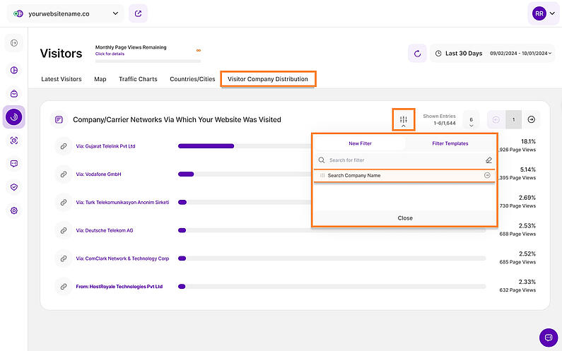Search Company Name in the Visitor Company Distribution tab