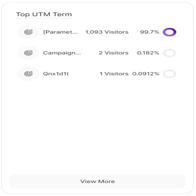 Unveiling the Top UTM Terms