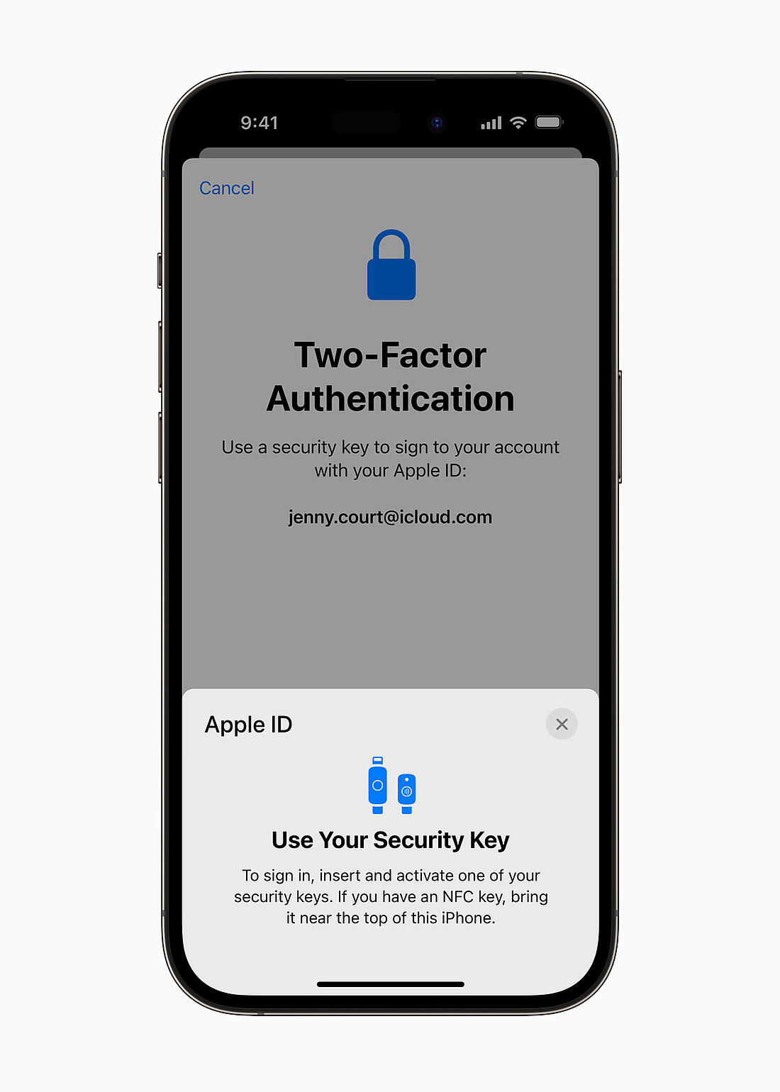 Apple Advanced Security Security Keys