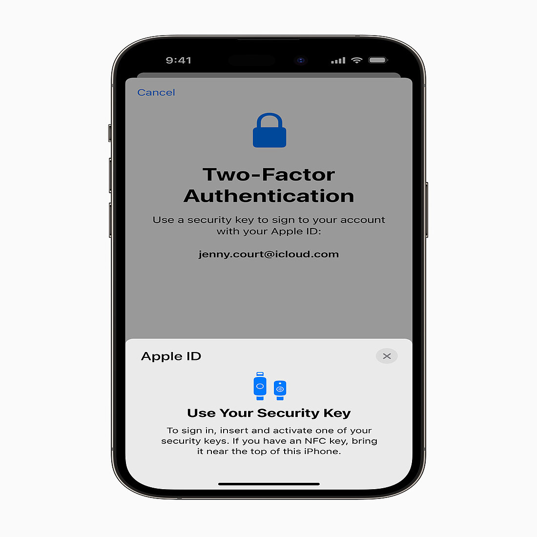 Apple Advanced Security Security Keys