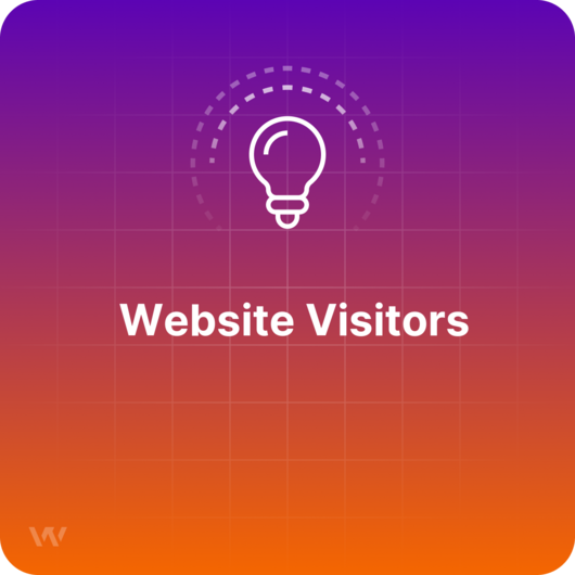 What are Website Visitors?