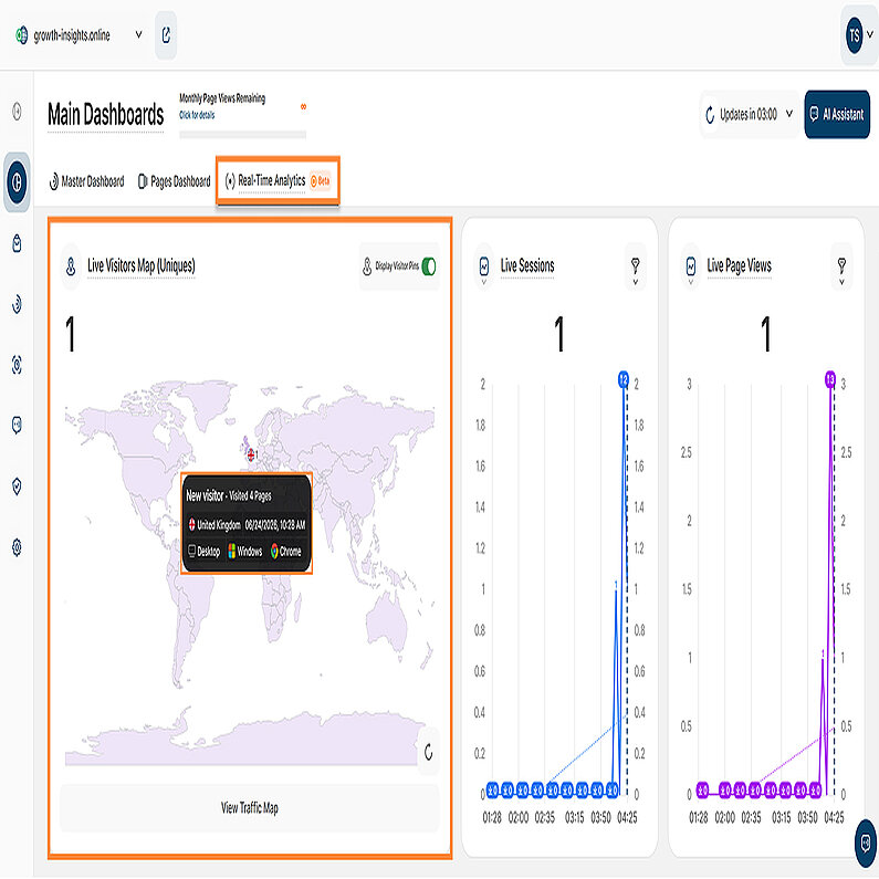 Live Visitors Map (Uniques) in the Real-Time Analytics Dashboard