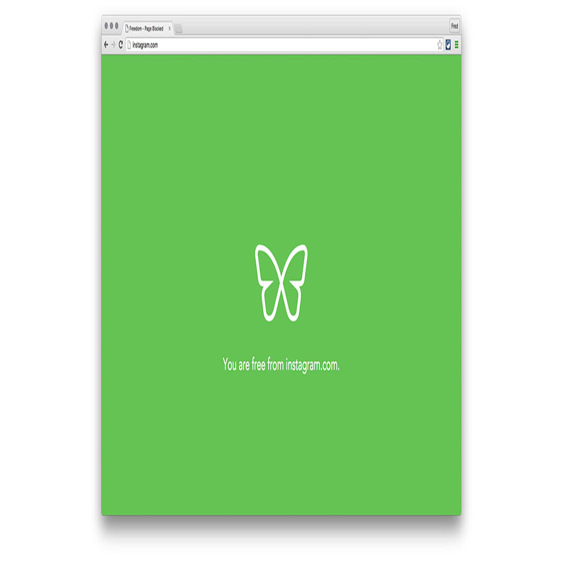 You are free from Instagram You are free from Instagram