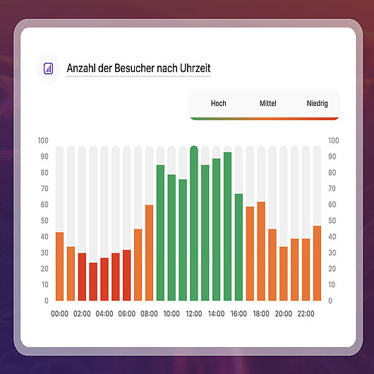 Einblicke in die Besuchszeit der TWIPLA-Website