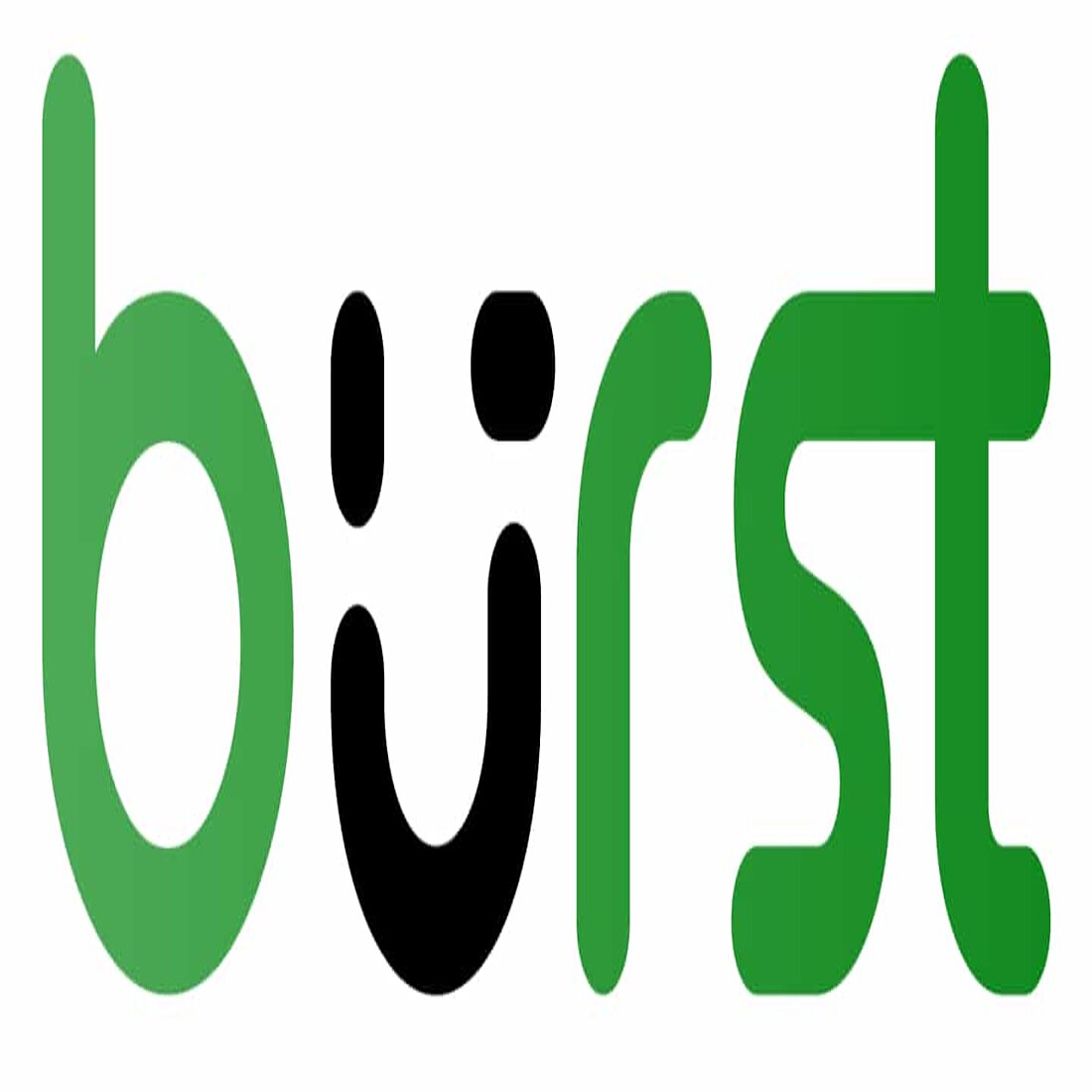 Burst is one of the best privacy-perfect Wordpress analytics tools