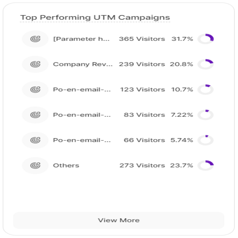 Overview of the Top Performing UTM Campaigns