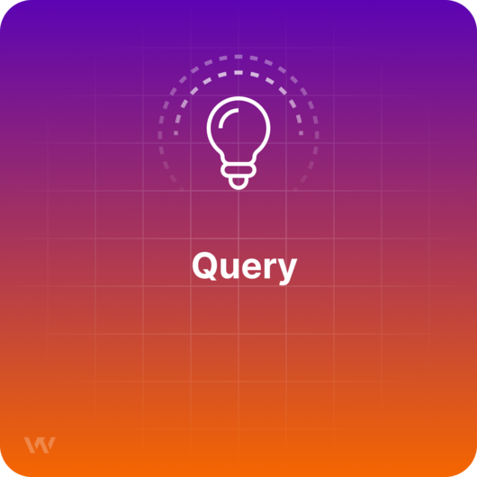 What is a Query