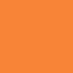 TWIPLA primary color orange
