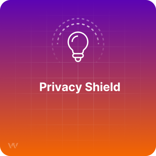 Was ist der Privacy Shield? - Definition im Visitor Analytics Glossar