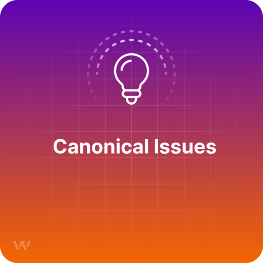 What are Canonical Issues?