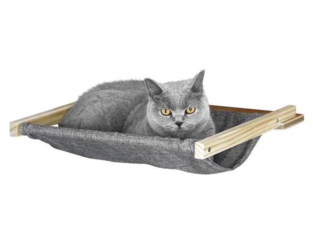 Cat sleeping in hammock