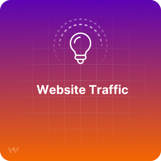 What is Website Traffic?