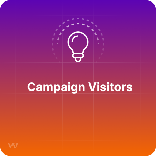 What are Campaign Visitors?