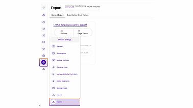 Website settings exporting data