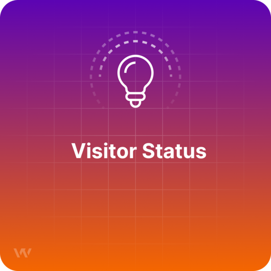 What is Visitor Status?