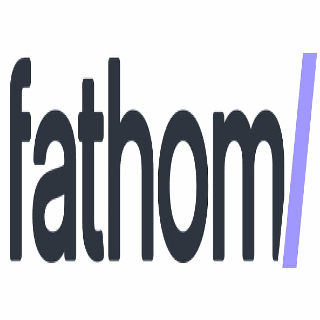 Fathom Analytics is one of the best privacy-perfect Wordpress analytics tools