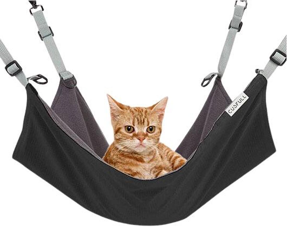 Cat Relaxing in Hammock