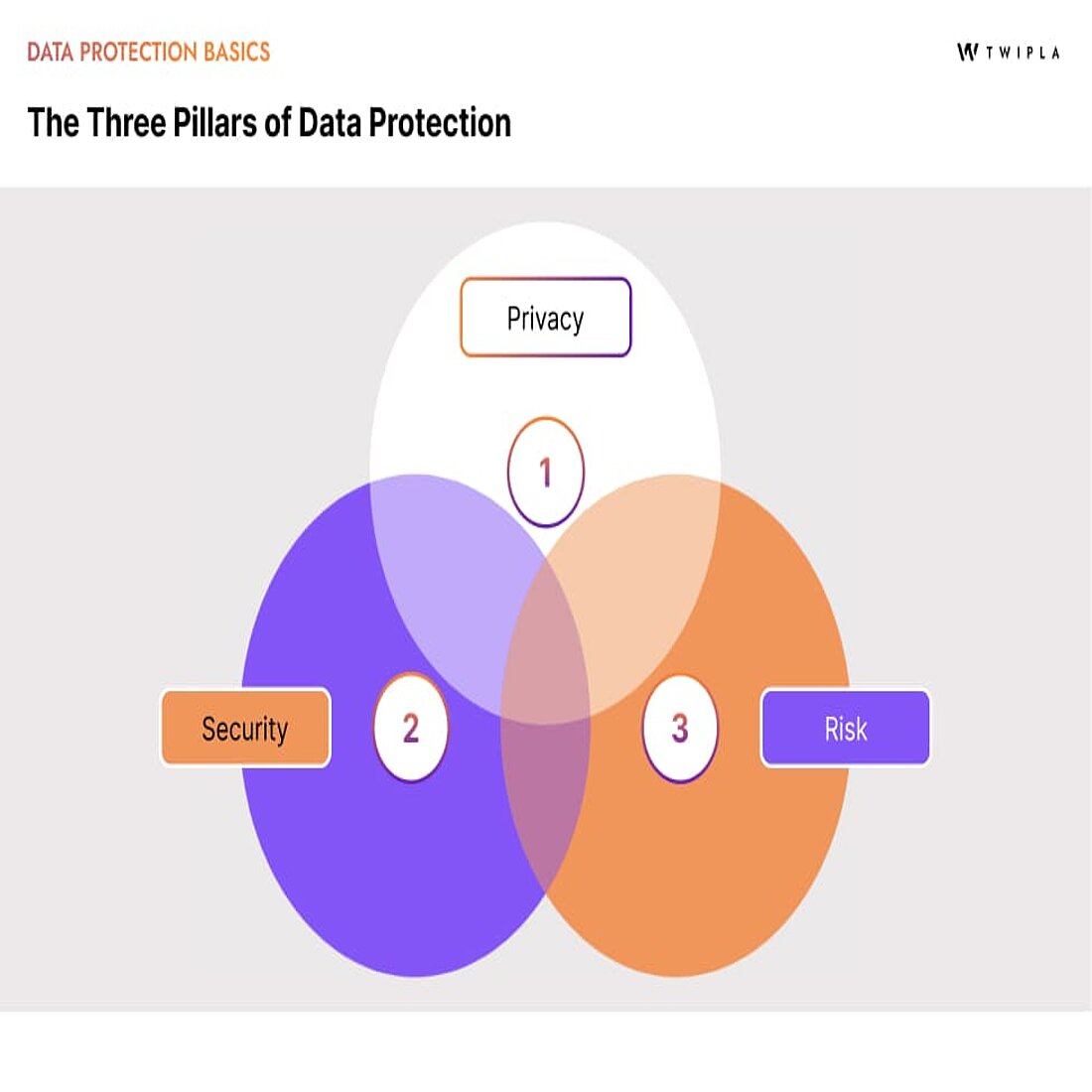 Understand the overlap between data privacy, security, and risk management A Venn diagram of the three pillars of data protection