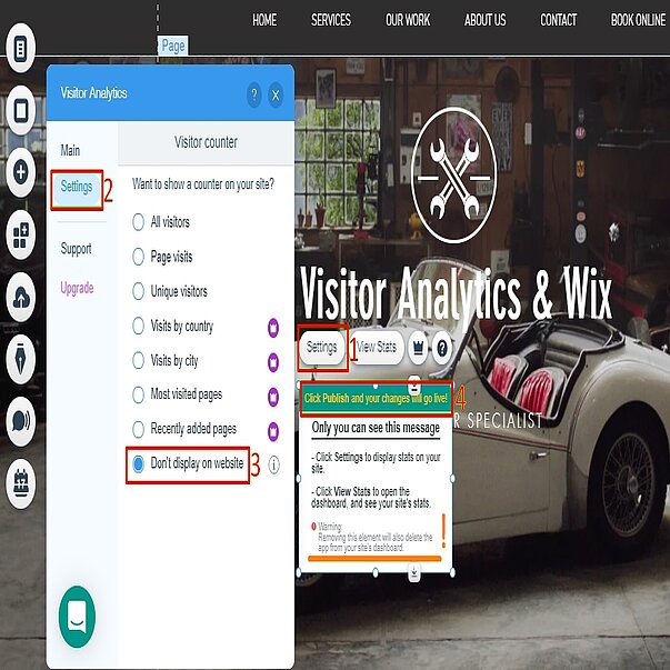 Make the Visitor Analytics stat-counter invisible on the site