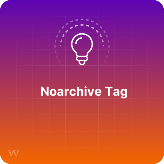 What is a Noarchive Tag?