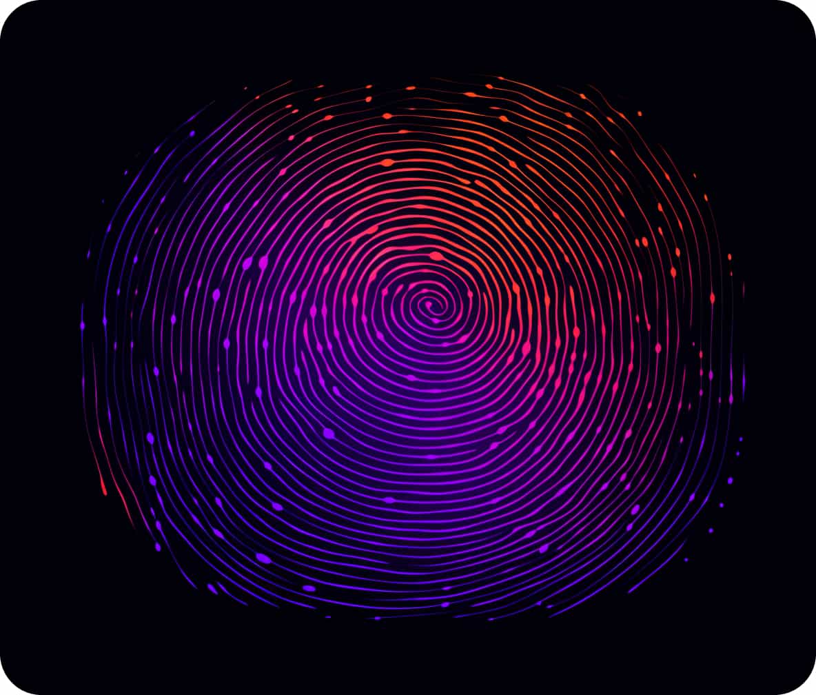 Cookieless Website Analytics - unblockable - TWIPLA Website Intelligence